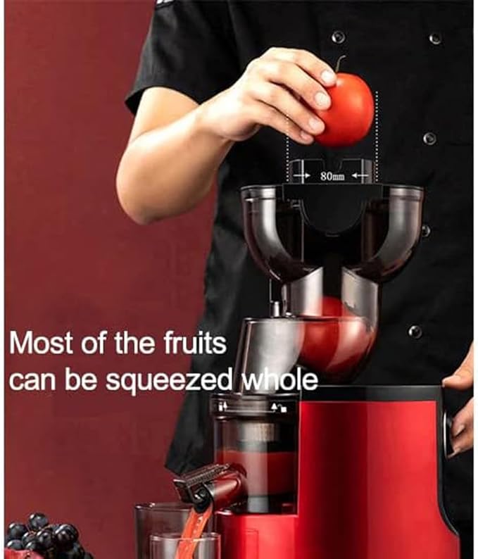 Sokany Electric Slow juicer extractor